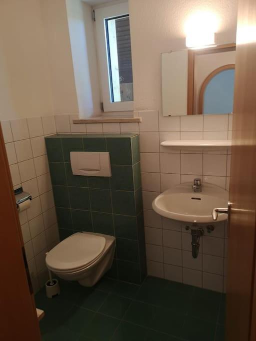 Grosszuegiges Haus Angrenzend An Naturschutzgebiet Immenstadt im Allgäu Exteriör bild